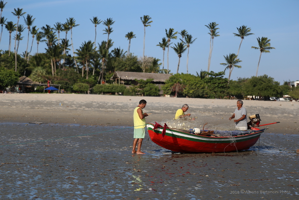 IMG_D12472_r_c.JPG