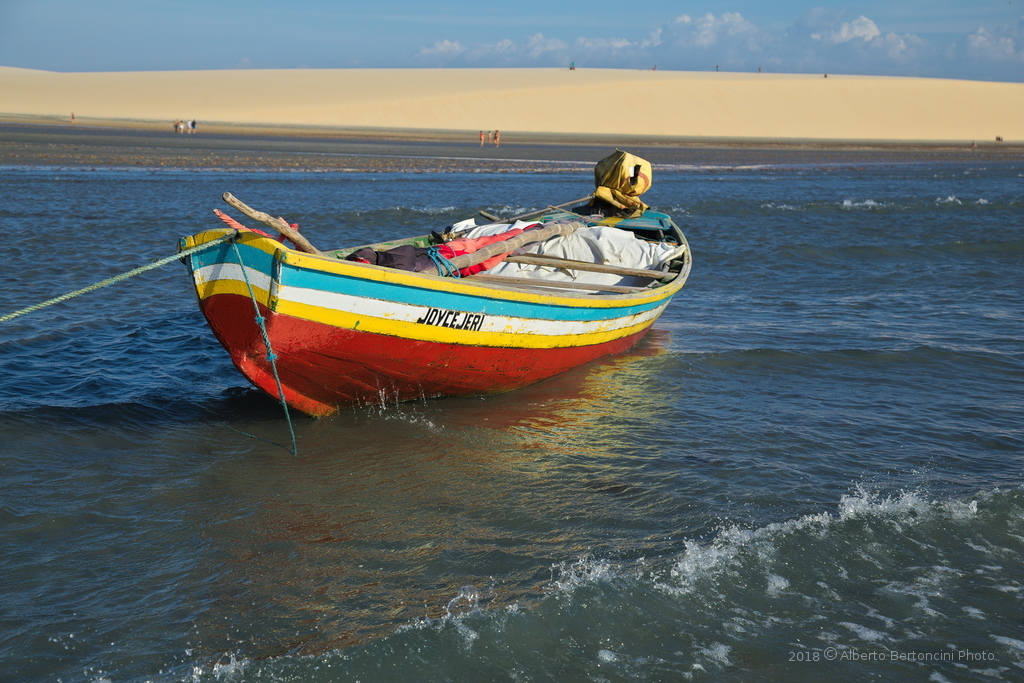 IMG_D12474-1_r_c.jpg