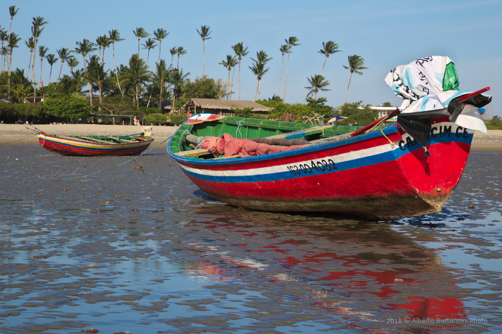 IMG_D12476-2_r_c.jpg